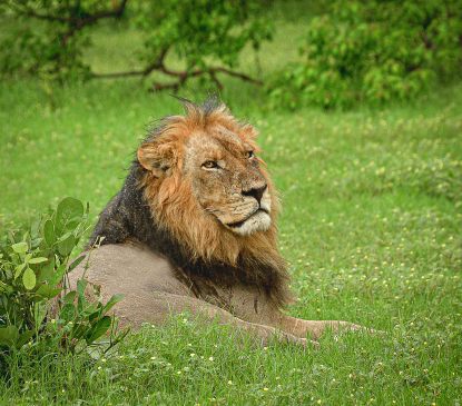 After-the-Rains-in-Africa.JPG